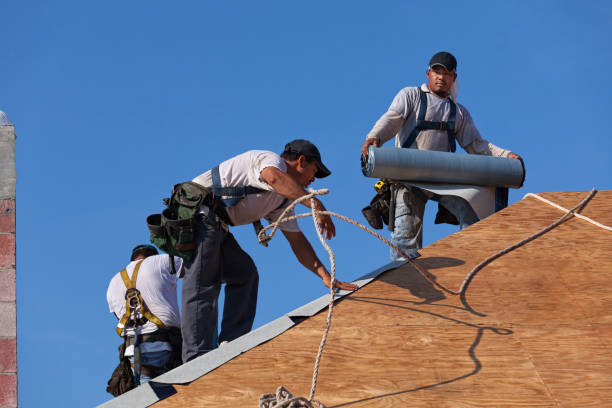 Professional Roofing Contractor in Hokendauqua, PA