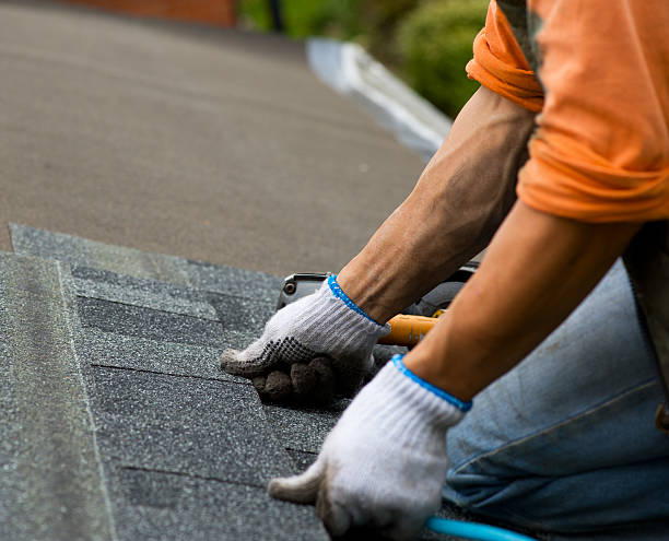 Quick and Trustworthy Emergency Roof Repair Services in Hokendauqua, PA
