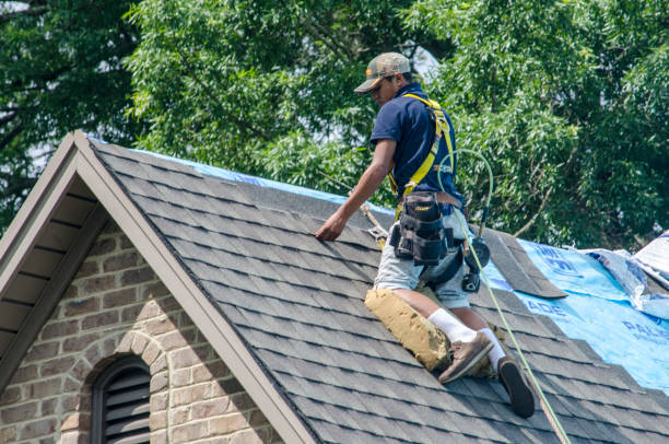 Best Storm Damage Roof Repair  in Hokendauqua, PA